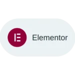 elementor-pill (2)